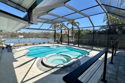 Lagoon Getaway - Watch Dolphins Play